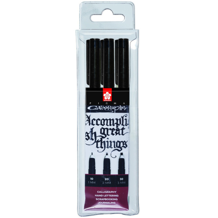 Calligrapher Pen 3-set in the group Hobby & Creativity / Calligraphy / Calligraphy Pens at Pen Store (102297)