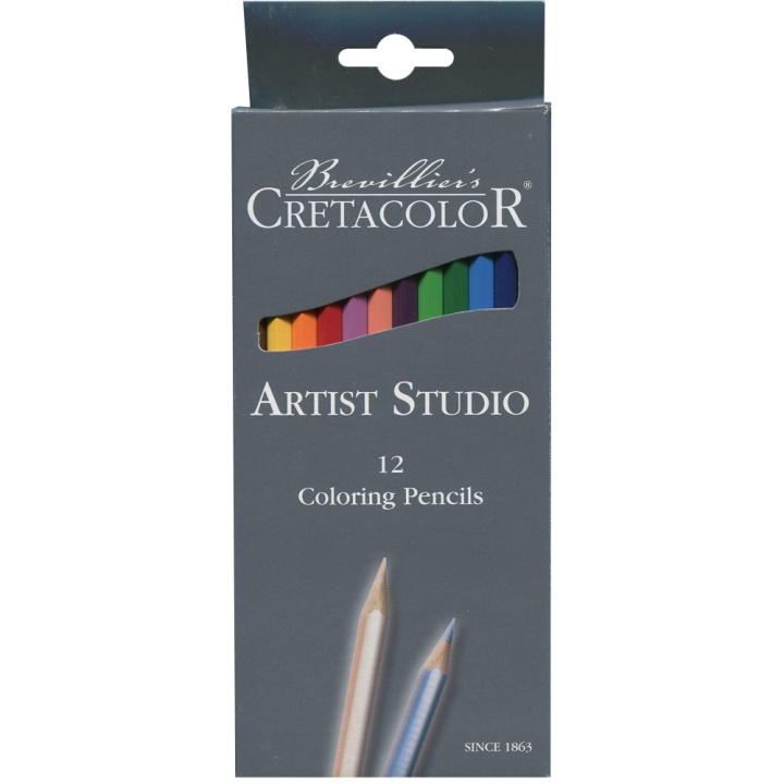 Artist Studio Colouring pencils 12-pack in the group Pens / Artist Pens / Coloured Pencils at Pen Store (105029)