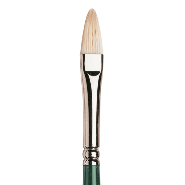 Winton Hog Brush Filbert 4 in the group Art Supplies / Brushes / Natural Hair Brushes / Hog bristle brushes at Pen Store (107657)