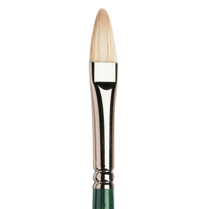 Winton Hog Brush Filbert 6 in the group Art Supplies / Brushes / Natural Hair Brushes / Hog bristle brushes at Pen Store (107658)