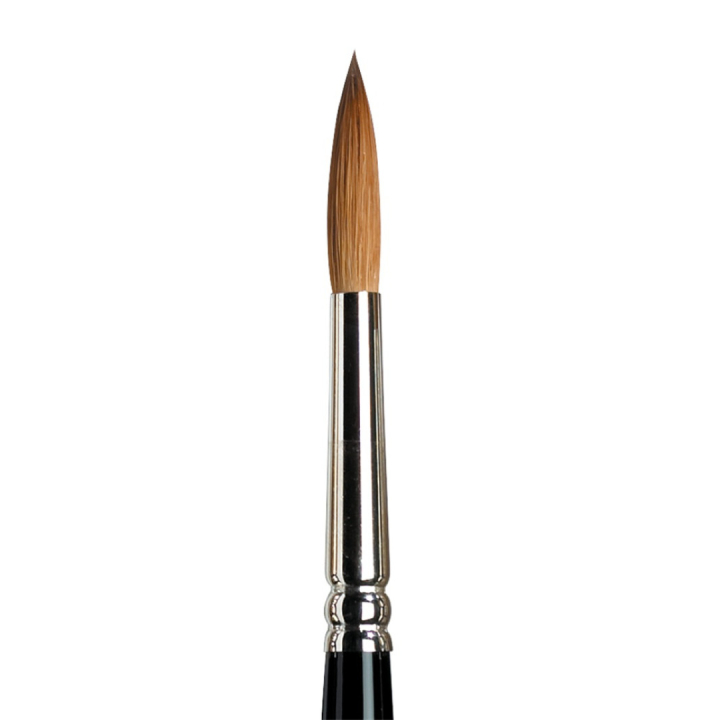 Series 7 Kolinsky Sable Brush 7 in the group Art Supplies / Brushes / Watercolour Brushes at Pen Store (107673)