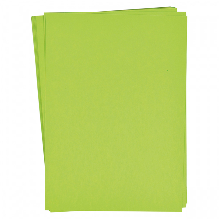 Paper light green 25 pcs 180 g in the group Paper & Pads / Artist Pads & Paper / Coloured Papers at Pen Store (126893)