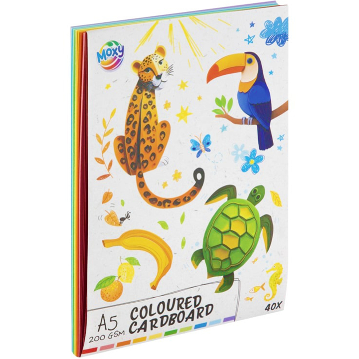 Coloured cardboard 200g A5 40 sheets in the group Kids / Fun and learning / Paper & Drawing Pad for Kids / Coloured paper for children at Pen Store (128567)