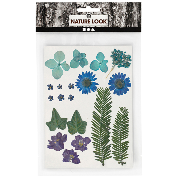 Dried flowers and leaves Blue in the group Hobby & Creativity / Techniques / Scrapbooking at Pen Store (130762)