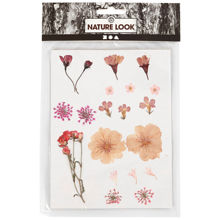 Dried flowers and leaves Light pink in the group Hobby & Creativity / Techniques / Scrapbooking at Pen Store (130763)