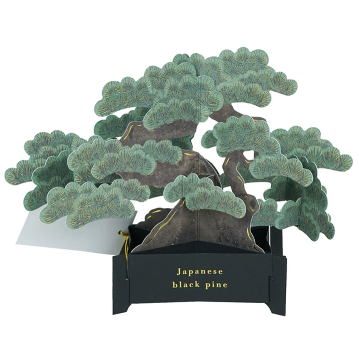 Bonsai pop-up card (Japanese black pine) in the group Hobby & Creativity / Holidays and seasons / Cards and envelopes at Pen Store (136616)