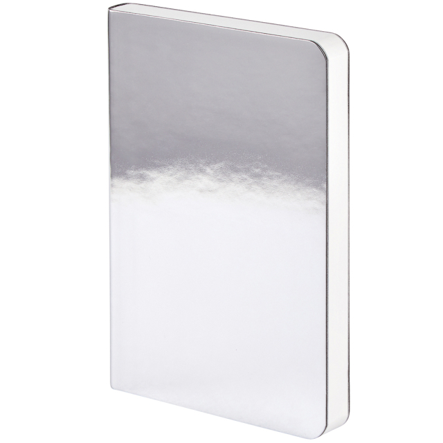 Notebook Shiny Starlet S - Silver