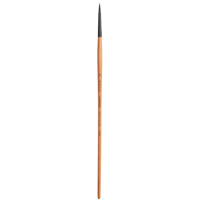 Catalyst Synthetic Long Handle Round size 2