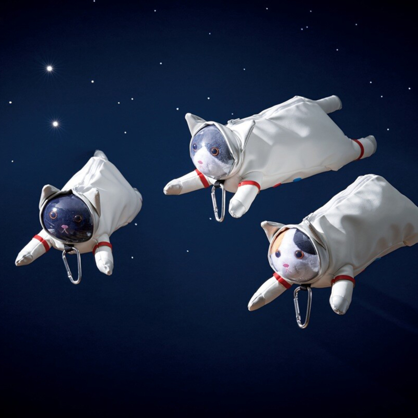 Pencil case Astro Cat Hachiware