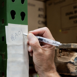 Airpress pen Clear in the group Pens / Writing / Ballpoints at Pen Store (100946)
