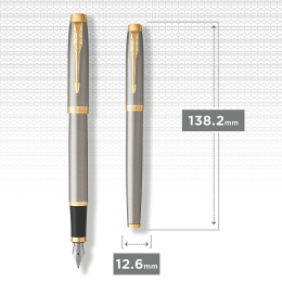 IM Brushed/Gold Fountain Pen in the group Pens / Fine Writing / Fountain Pens at Pen Store (104676_r)