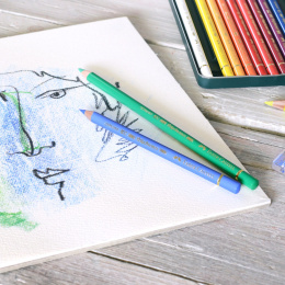 Polychromos singles in the group Pens / Artist Pens / Coloured Pencils at Pen Store (105856_r)