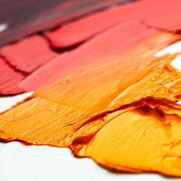 Winton Oil Colour Tube 37 ml 10-set in the group Art Supplies / Artist colours / Oil Paint at Pen Store (107256)