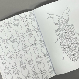 Wonderful Insects in the group Hobby & Creativity / Books / Adult Colouring Books at Pen Store (125501)