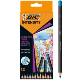 Watercolour pencils Intensity 12-set in the group Pens / Artist Pens / Watercolour Pencils at Pen Store (130133)