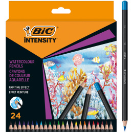 Watercolour pencils Intensity 24-set in the group Pens / Artist Pens / Watercolour Pencils at Pen Store (130134)