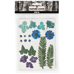 Dried flowers and leaves Blue in the group Hobby & Creativity / Techniques / Scrapbooking at Pen Store (130762)