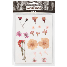 Dried flowers and leaves Light pink in the group Hobby & Creativity / Techniques / Scrapbooking at Pen Store (130763)