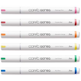 Acrea Paint Marker Set of 6 Vivid Colours in the group Pens / Artist Pens / Illustration Markers at Pen Store (133046)