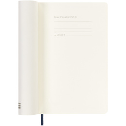 12M Daily Calendar 2025 Softcover Large Blue in the group Paper & Pads / Planners / 12-Month Planners at Pen Store (133767)