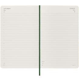 12M Daily Calendar 2025 Softcover Large Myrtle Green in the group Paper & Pads / Planners / 12-Month Planners at Pen Store (133768)