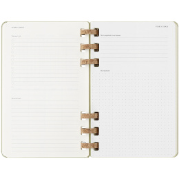 12M Spiral Planner 2025 Large Kiwi in the group Paper & Pads / Planners / 12-Month Planners at Pen Store (133787)