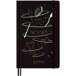 12M Daily Kalender 2025 Hardcover 2025 Large Harry Potter in the group Paper & Pads / Planners / 12-Month Planners at Pen Store (133814)