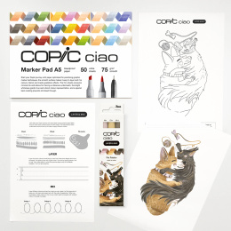 Ciao Layer & Mix 2D Starter Set Pet in the group Pens / Artist Pens / Illustration Markers at Pen Store (135133)