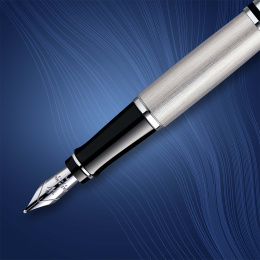 Expert Steel Fountain pen Medium in the group Pens / Fine Writing / Fountain Pens at Pen Store (135462)