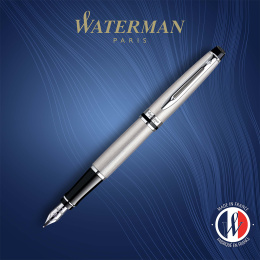 Expert Steel Fountain pen Medium in the group Pens / Fine Writing / Fountain Pens at Pen Store (135462)