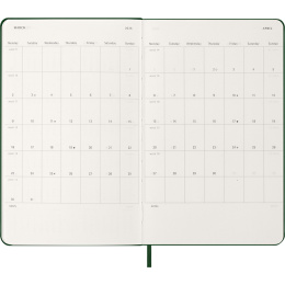 Diary 12M Daily 2026 Hardcover Large Myrtle Green in the group Paper & Pads / Planners / 12-Month Planners at Pen Store (136083)