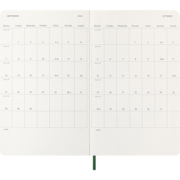 Diary 12M Daily 2026 Softcover Large Myrtle Green in the group Paper & Pads / Planners / 12-Month Planners at Pen Store (136088)