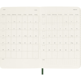 Diary 12M Daily 2026 Softcover Pocket Myrtle Green in the group Paper & Pads / Planners / 12-Month Planners at Pen Store (136089)