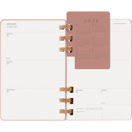 Diary 12M Spiral Planner 2026 Large Almond in the group Paper & Pads / Planners / 12-Month Planners at Pen Store (136105)