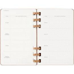 Diary 12M Spiral Planner 2026 Large Almond in the group Paper & Pads / Planners / 12-Month Planners at Pen Store (136105)
