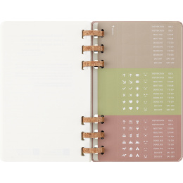 Diary 12M Spiral Planner 2026 Large Almond in the group Paper & Pads / Planners / 12-Month Planners at Pen Store (136105)