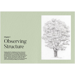 How to Draw a Tree: from the Fruit to the Forest in the group Hobby & Creativity / Books / Art Instruction Books at Pen Store (136291)