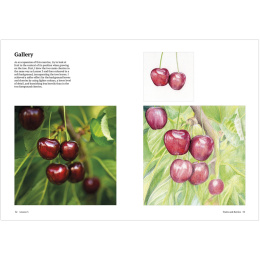 How to Draw a Tree: from the Fruit to the Forest in the group Hobby & Creativity / Books / Art Instruction Books at Pen Store (136291)