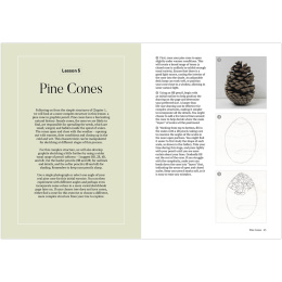 How to Draw a Tree: from the Fruit to the Forest in the group Hobby & Creativity / Books / Art Instruction Books at Pen Store (136291)