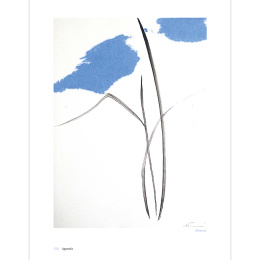 The Art of Sumi-e in the group Hobby & Creativity / Books / Inspirational Books at Pen Store (136293)