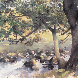 The Watercolour Artist's Bible in the group Hobby & Creativity / Books / Art Instruction Books at Pen Store (136295)