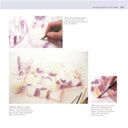 The Encyclopedia of Coloured Pencil Techniques in the group Hobby & Creativity / Books / Art Instruction Books at Pen Store (136298)