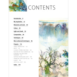 The Innovative Artist: Capturing Light in the group Hobby & Creativity / Books / Art Instruction Books at Pen Store (136308)