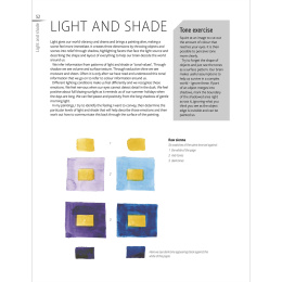 The Innovative Artist: Capturing Light in the group Hobby & Creativity / Books / Art Instruction Books at Pen Store (136308)