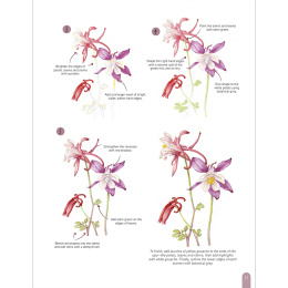 Paint 50: Watercolour Flowers in the group Hobby & Creativity / Books / Art Instruction Books at Pen Store (136318)