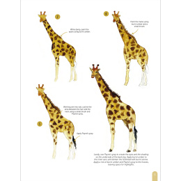 Paint 50: Watercolour Animals in the group Hobby & Creativity / Books / Art Instruction Books at Pen Store (136319)