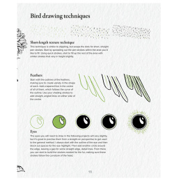 The Kew Book of Drawing Flora and Fauna in the group Hobby & Creativity / Books / Art Instruction Books at Pen Store (136328)