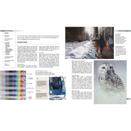 Complete Guide to Acrylics in the group Hobby & Creativity / Books / Art Instruction Books at Pen Store (136334)