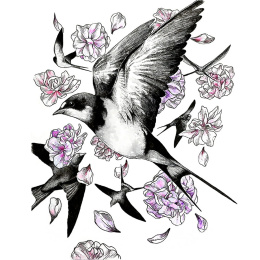 Illustration Watercolor Set in the group Art Supplies / Artist colours / Watercolour Paint / Watercolour pans at Pen Store (136421)