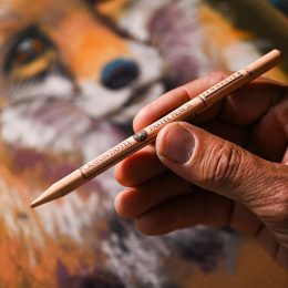 Pastel pencil in the group Pens / Artist Pens / Pastel pencils at Pen Store (136529_r)